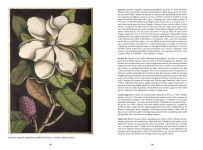 Alternative view 2 of The Art of Biodiversity: Artists & Naturalists, 1700-1900