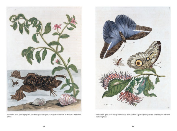 The Art of Biodiversity: Artists & Naturalists, 1700-1900