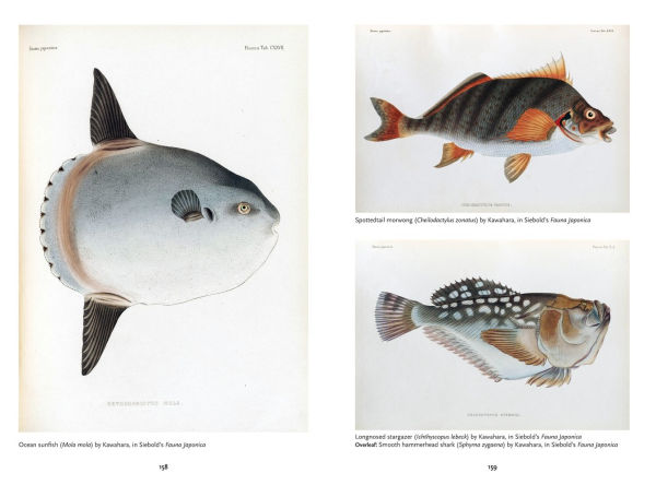 The Art of Biodiversity: Artists & Naturalists, 1700-1900