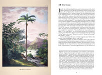 Alternative view 7 of The Art of Biodiversity: Artists & Naturalists, 1700-1900