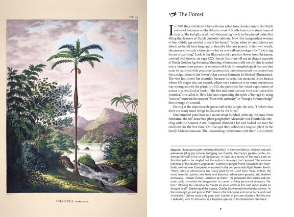 The Art of Biodiversity: Artists & Naturalists, 1700-1900