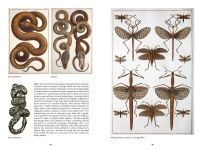 Alternative view 8 of The Art of Biodiversity: Artists & Naturalists, 1700-1900