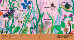 Alternative view 3 of Animal Words for Little Zoologists: 100 Interesting Words!