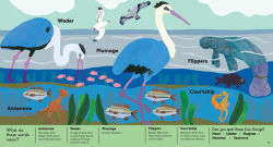 Alternative view 7 of Animal Words for Little Zoologists: 100 Interesting Words!