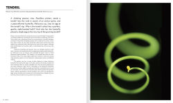 Alternative view 4 of The Shape of Nature: The Intricate Patterns of Life