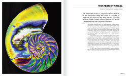 Alternative view 5 of The Shape of Nature: The Intricate Patterns of Life