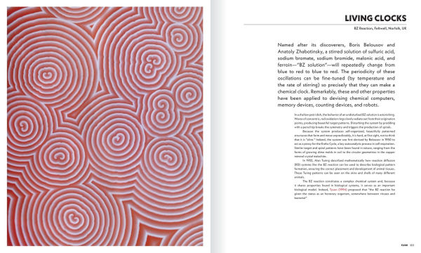 The Shape of Nature: The Intricate Patterns of Life