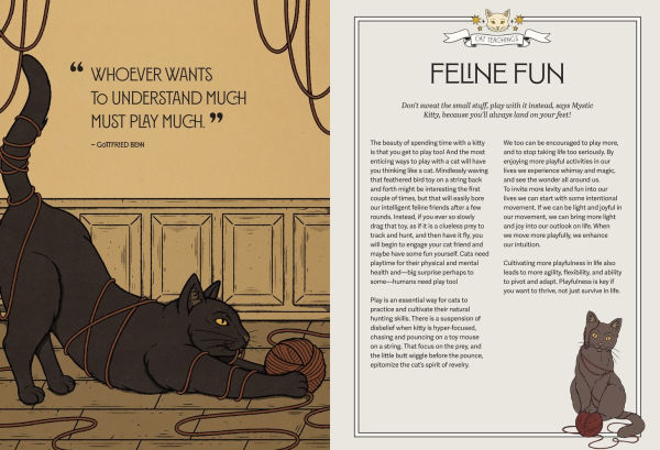 Mystic Kitty: A Cat's Guide to Meditation