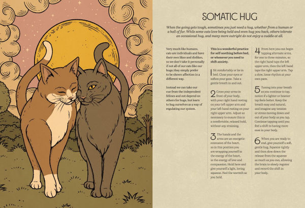 Mystic Kitty: A Cat's Guide to Meditation