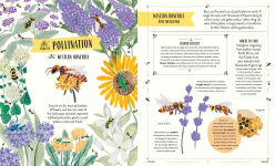 Alternative view 3 of Buzz: A Family Guide to Bugs and How to Spot Them