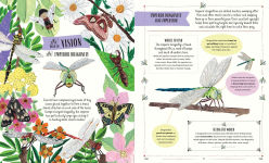 Alternative view 5 of Buzz: A Family Guide to Bugs and How to Spot Them