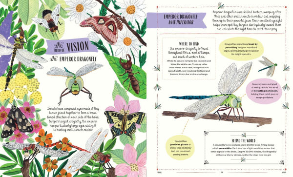 Buzz: A Family Guide to Bugs and How to Spot Them