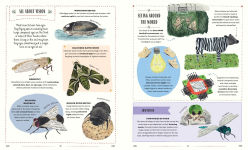 Alternative view 6 of Buzz: A Family Guide to Bugs and How to Spot Them