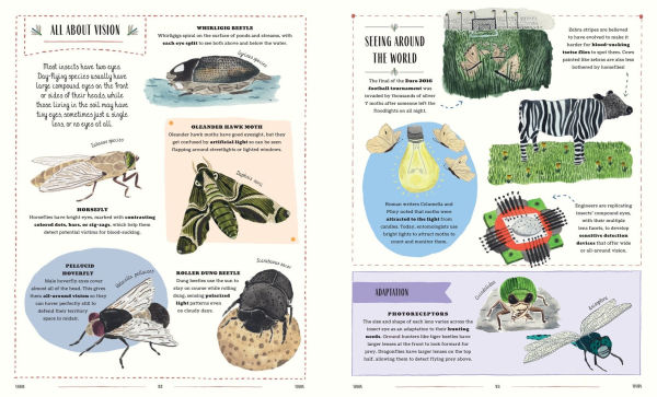 Buzz: A Family Guide to Bugs and How to Spot Them