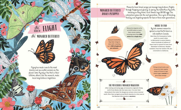 Buzz: A Family Guide to Bugs and How to Spot Them