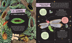 Alternative view 8 of Buzz: A Family Guide to Bugs and How to Spot Them