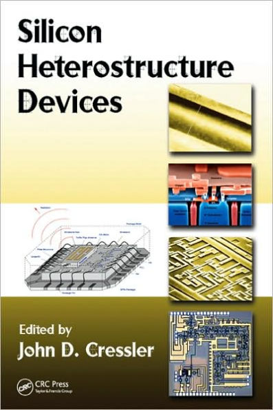 Silicon Heterostructure Devices / Edition 1
