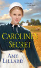 Caroline's Secret (Wells Landing Series #1)