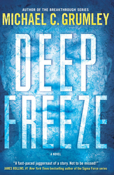 Deep Freeze: A Novel