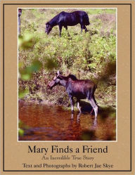 Title: Mary Finds a Friend, Author: Robert Jae Skye