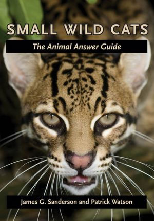 Small Wild Cats: The Animal Answer Guide