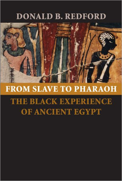 From Slave to Pharaoh: The Black Experience of Ancient Egypt