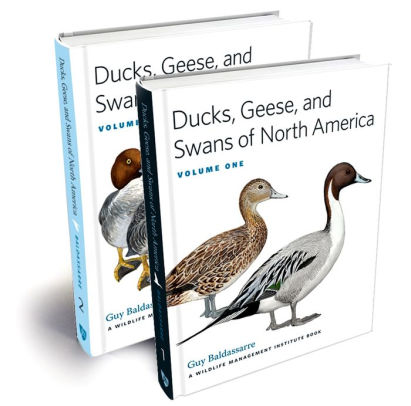 Ducks Geese And Swans Of North America By Guy