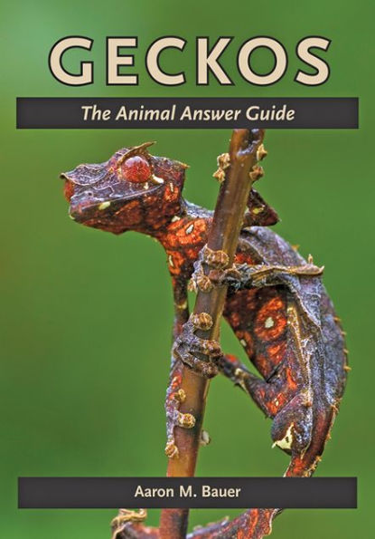 Geckos: The Animal Answer Guide