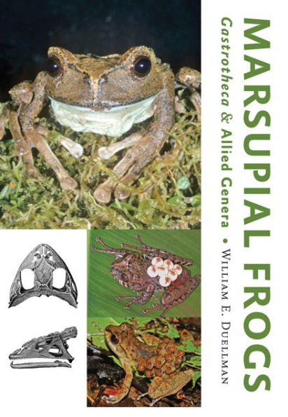 Marsupial Frogs: Gastrotheca and Allied Genera