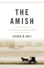 The Amish: A Concise Introduction