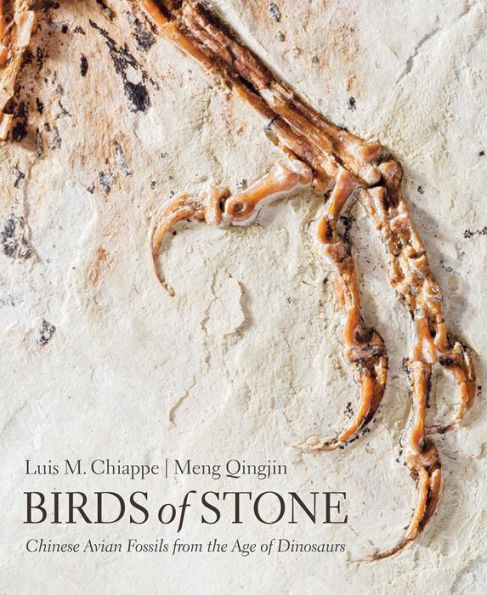 Birds of Stone: Chinese Avian Fossils from the Age of Dinosaurs