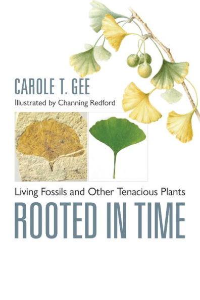 Rooted Time: Living Fossils and Other Tenacious Plants