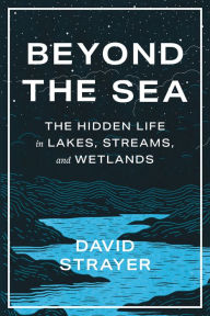 Ipad mini ebooks download Beyond the Sea: The Hidden Life in Lakes, Streams, and Wetlands in English by David Strayer iBook PDB 9781421450070