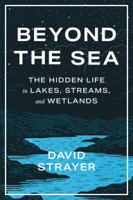 Title: Beyond the Sea: The Hidden Life in Lakes, Streams, and Wetlands, Author: David Strayer