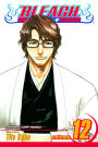 Bleach, Vol. 12: Flower on the Precipice