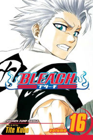 Bleach - volume 15