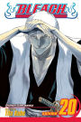 Bleach, Vol. 20: End of Hypnosis