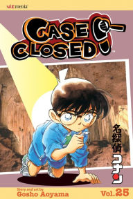 Title: Case Closed, Volume 25, Author: Gosho Aoyama