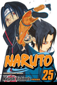 Title: Naruto, Volume 25, Author: Masashi Kishimoto