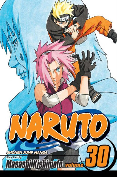 Naruto, Volume 30