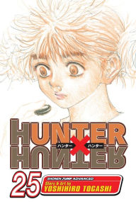 Hunter x Hunter Manga Set volume 13-24 by Yoshihiro Togashi