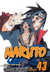 Title: Naruto, Volume 43, Author: Masashi Kishimoto