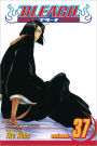 Bleach, Vol. 37: Beauty Is So Solitary