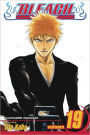 Bleach, Vol. 19: The Black Moon Rising