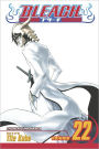 Bleach, Vol. 22: Conquistadores