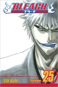 Title: Bleach, Vol. 25: No Shaking Throne, Author: Tite Kubo