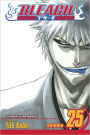 Bleach, Vol. 25: No Shaking Throne