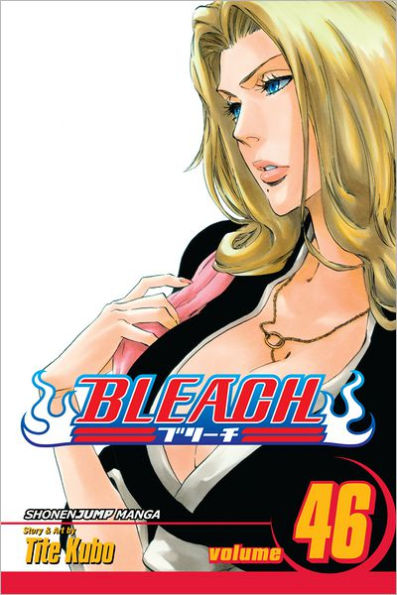Bleach, Vol. 46: Back from Blind