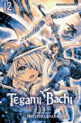 Tegami Bachi, Vol. 12: Child of Light