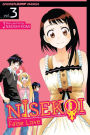 Nisekoi: False Love, Volume 3: What's in a Name?